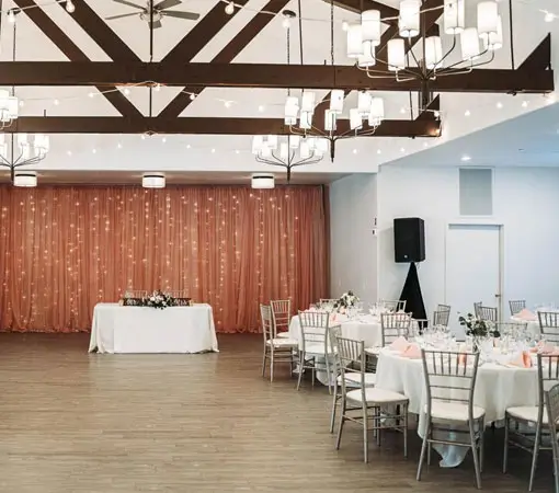 Barnomala Events - Events