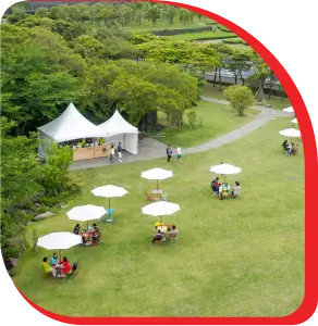 A preview of Picnic Event services offered